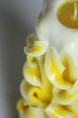 /album/manipura-3-chakra/a3-chakra-manipura-lemongrass-1-jpg/